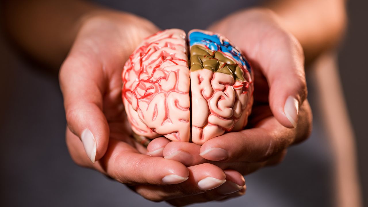 Neurociências e Comportamento