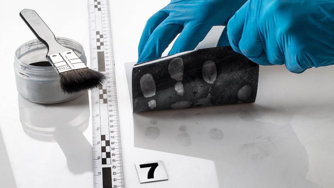 ciências forenses