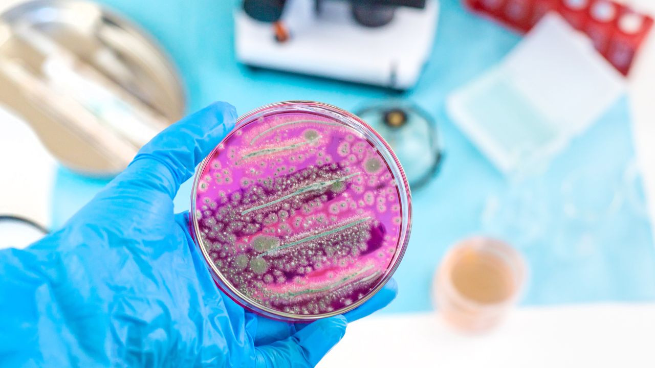 microbiologia
