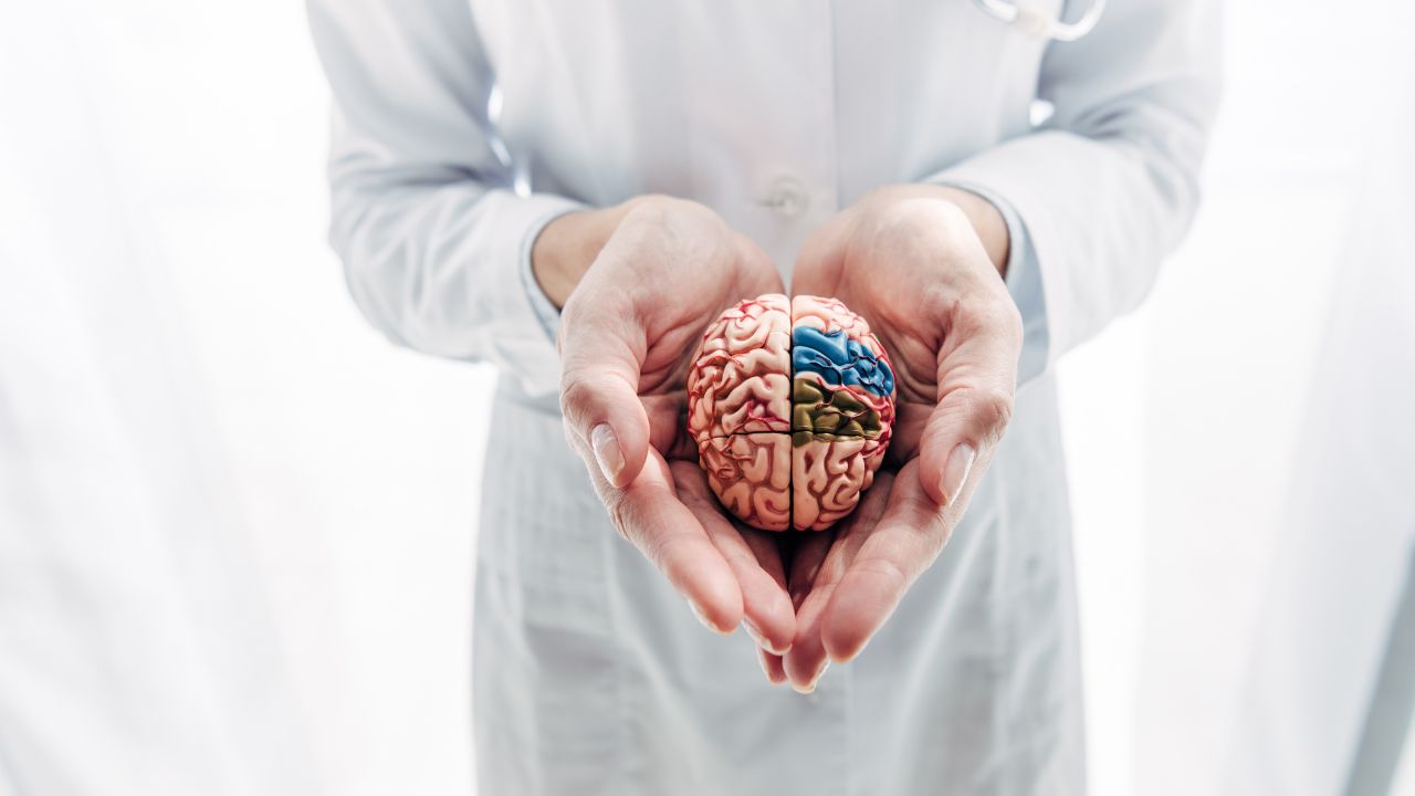neurociência o que é
