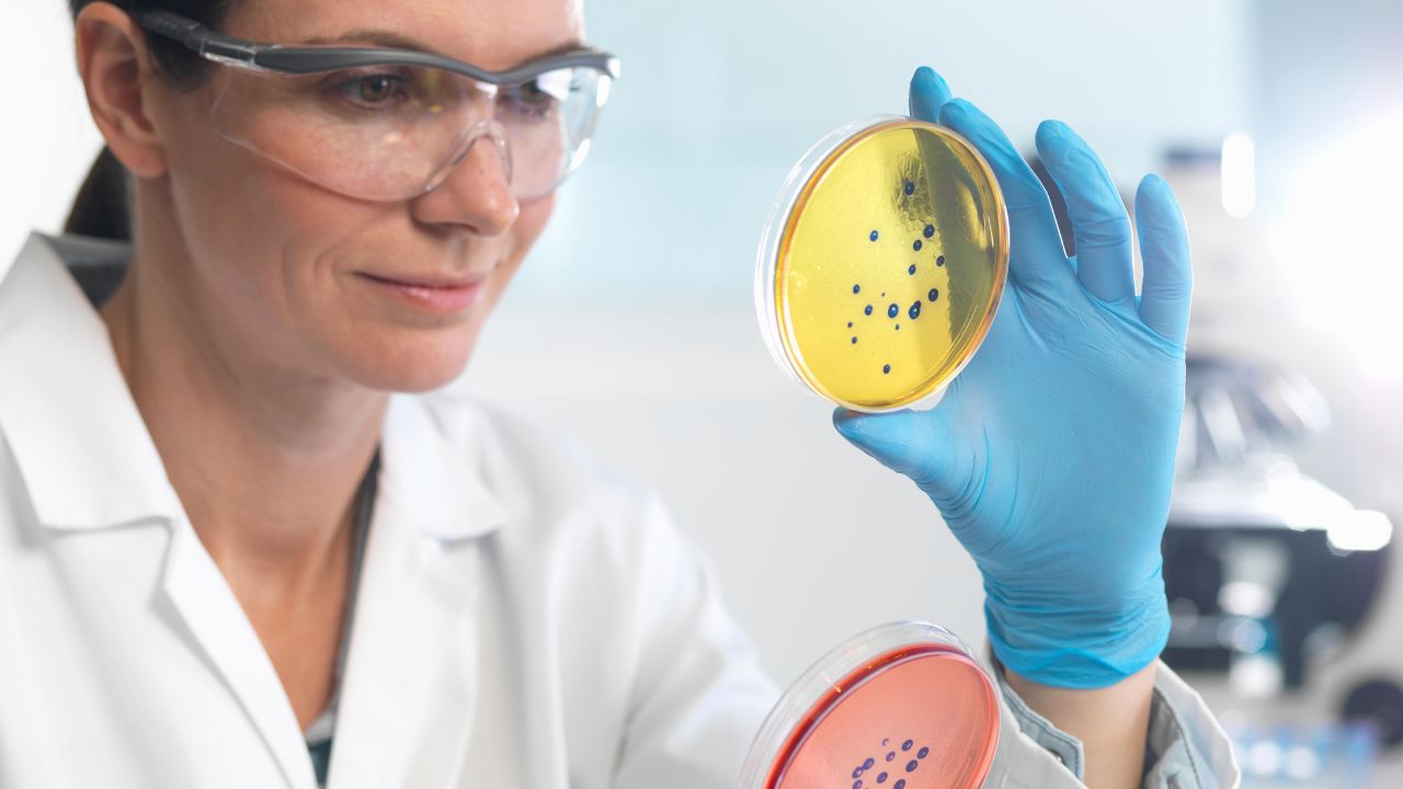 o que é microbiologista