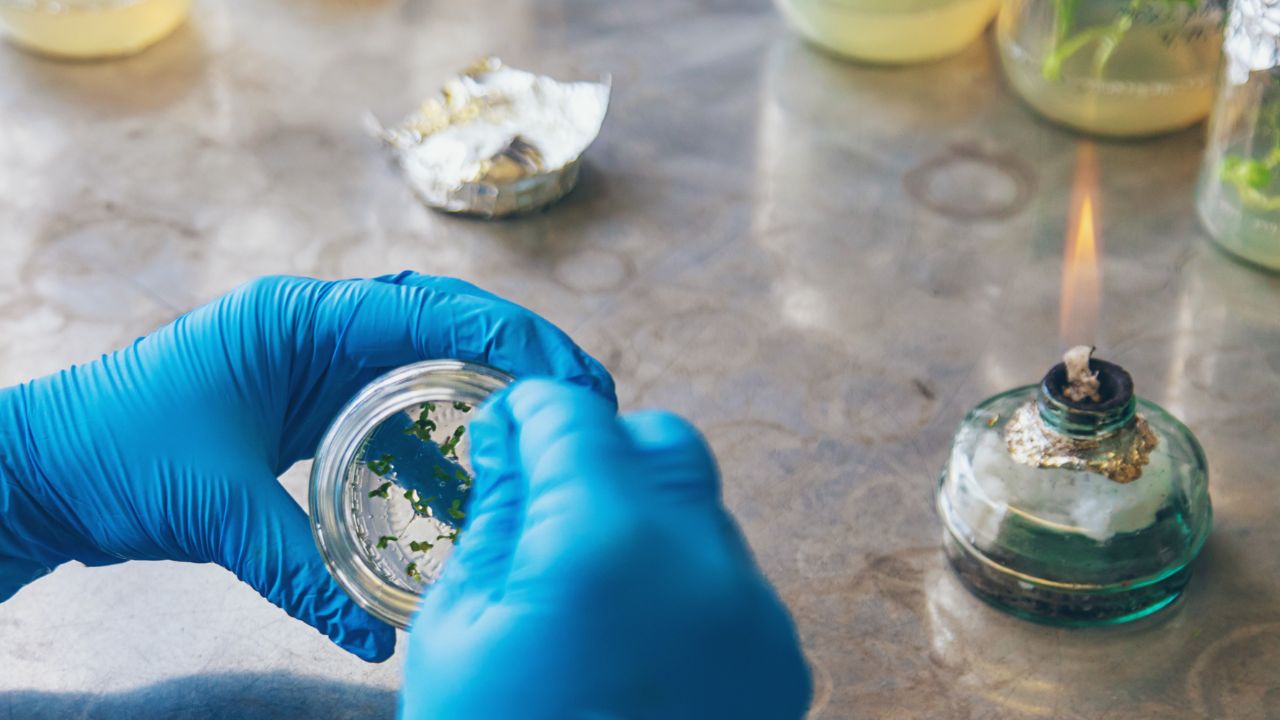 o que é toxicologia forense
