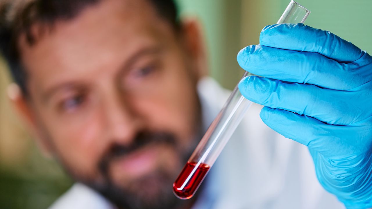 O que é hematologia? Entenda a especialização
