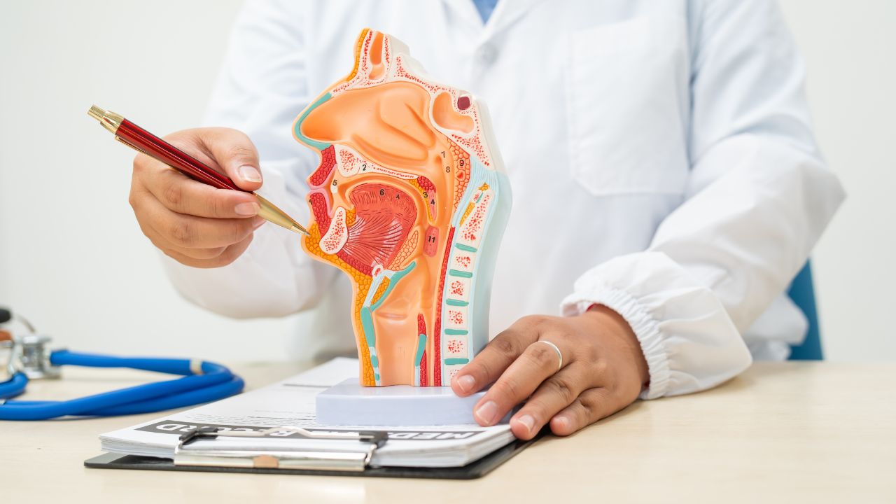 fisiologia e anatomia humana