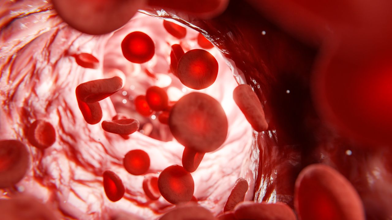 hematologia o que é