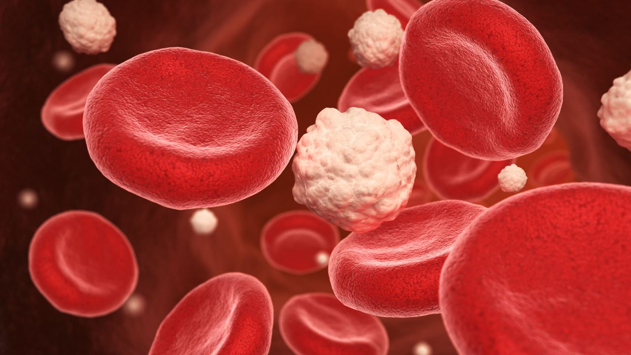 hematologista cuida de que