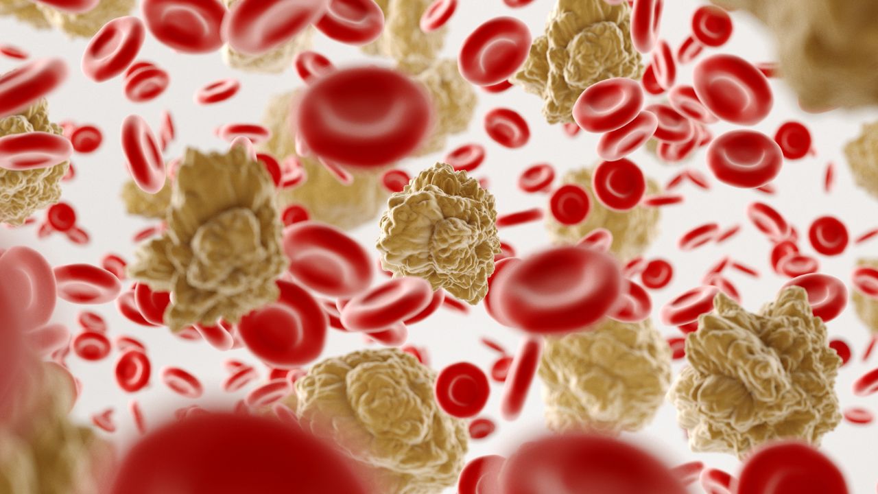hematologista o que e