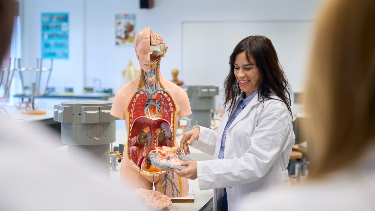 o que e anatomia e fisiologia humana