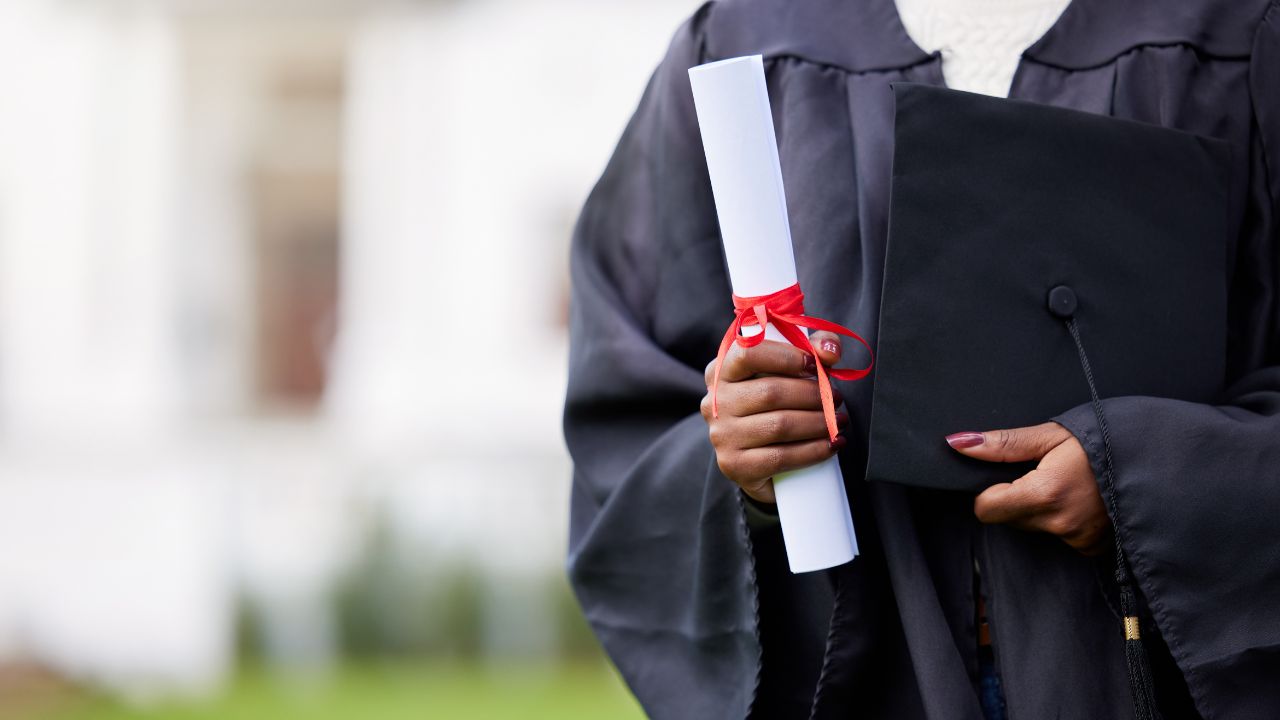 o que é licenciatura e bacharelado