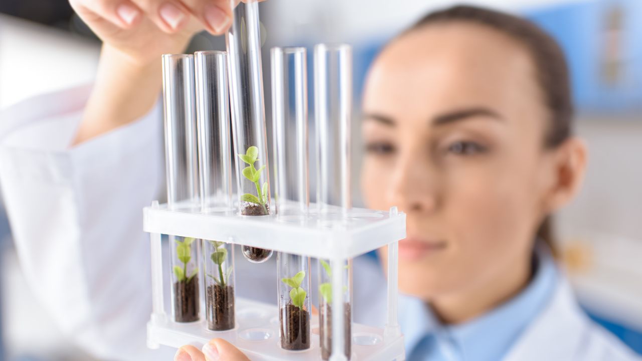 Biotecnologia