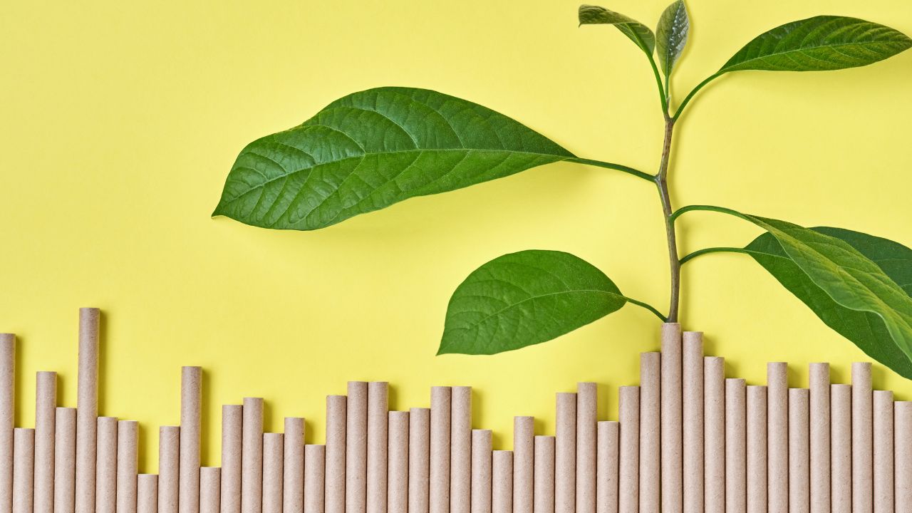 Crescimento sustentável