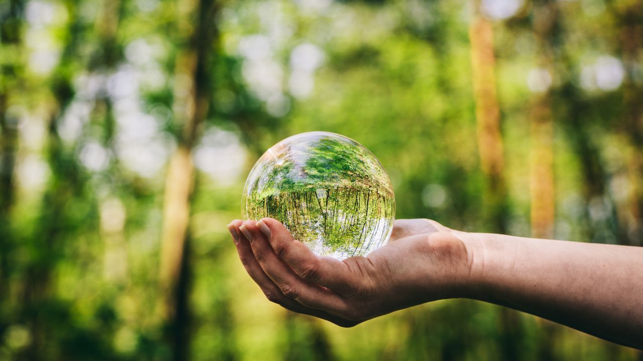 gestão e sustentabilidade ambiental