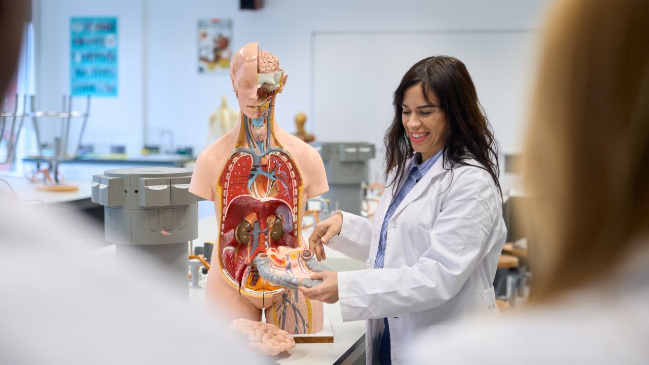 Anatomia humana fisiologia