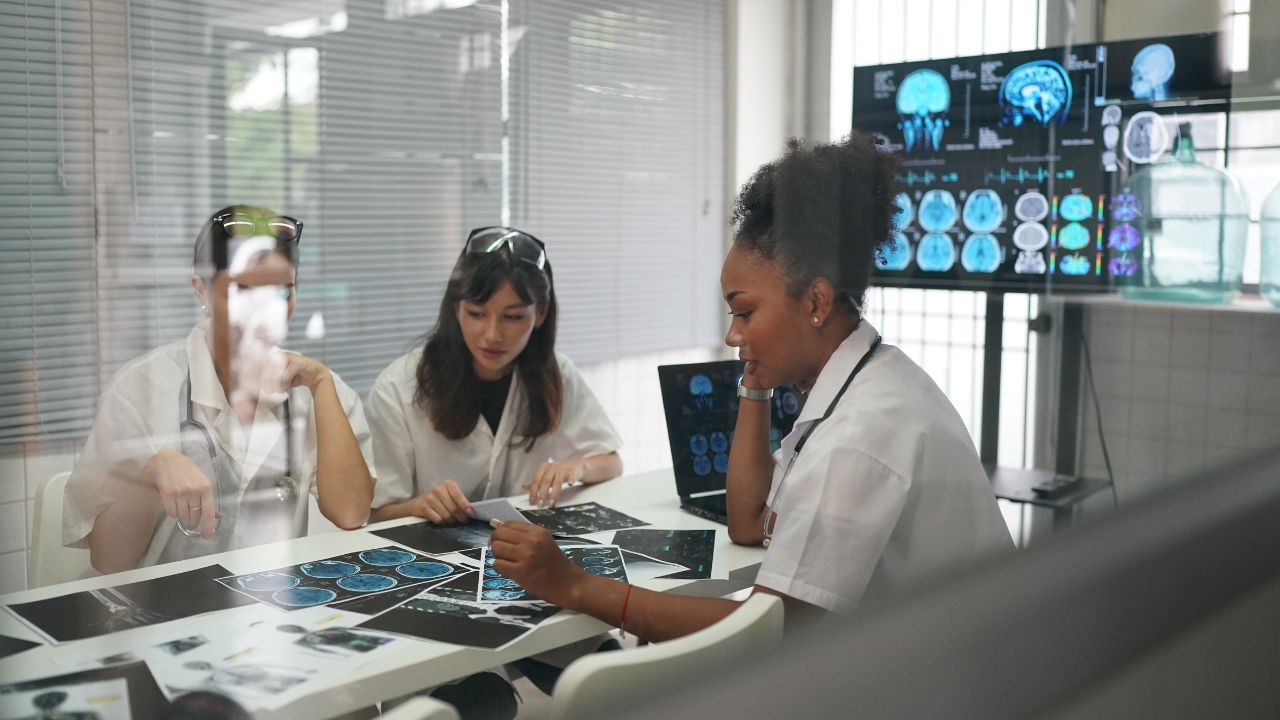 O que a neurociência estuda