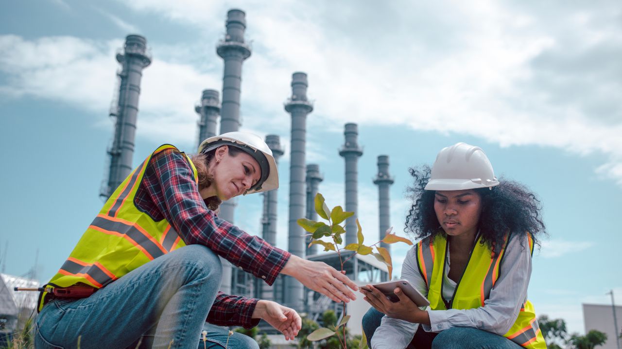 engenharia ambiental faz o que