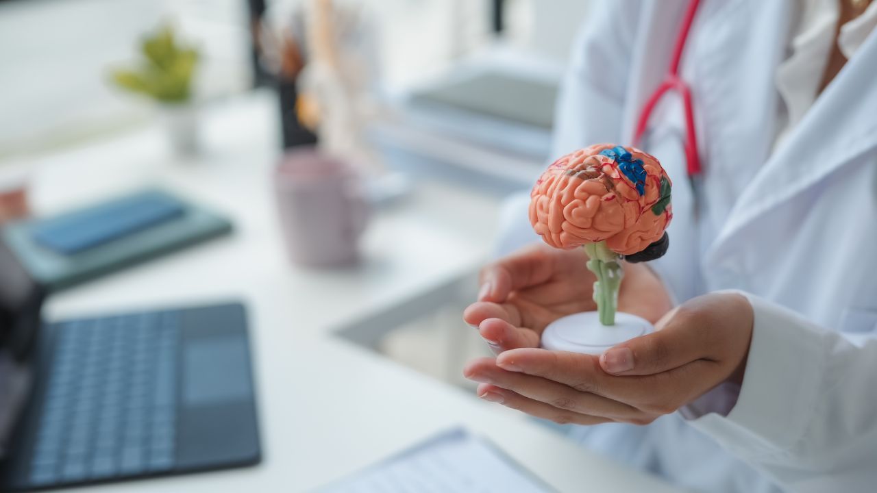 neurociência cognitiva o que é neurociência cognitiva o que é