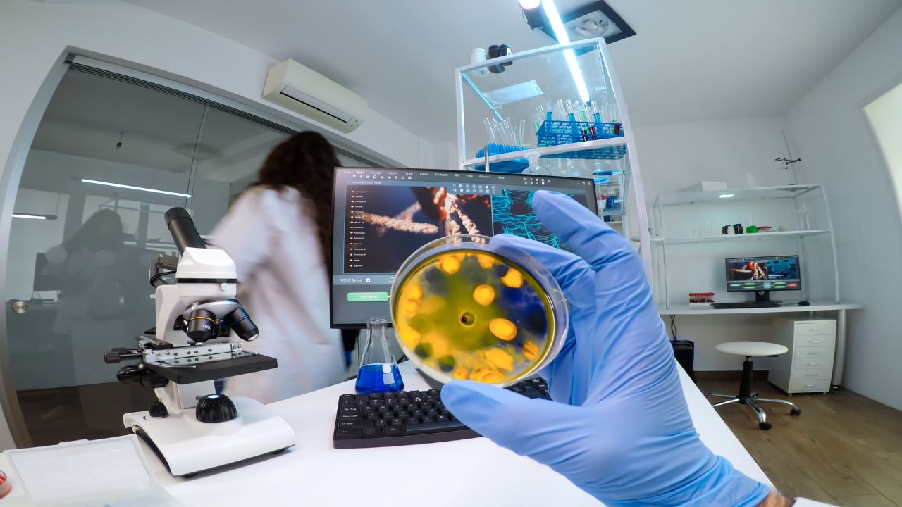 qual a importância da microbiologia na enfermagem