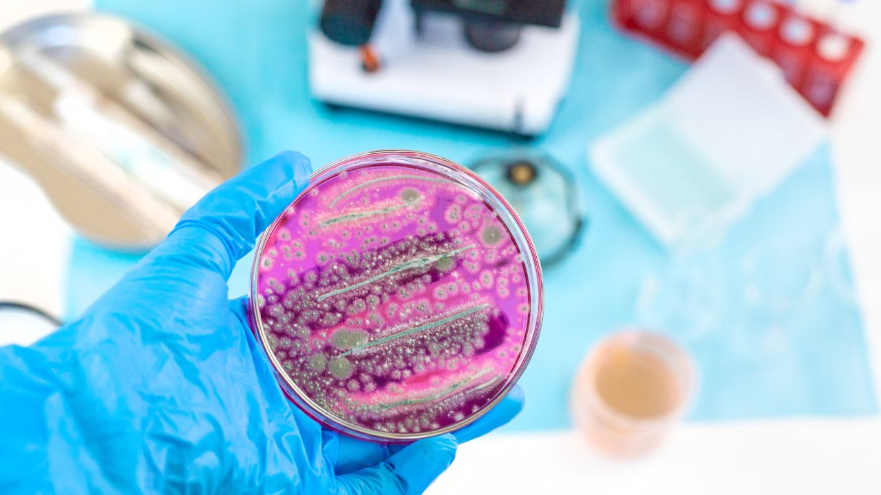 qual a importância da microbiologia para a saúde