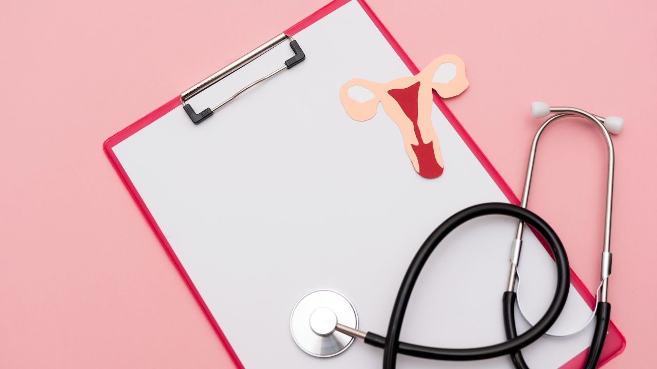 saúde da mulher saúde da mulher