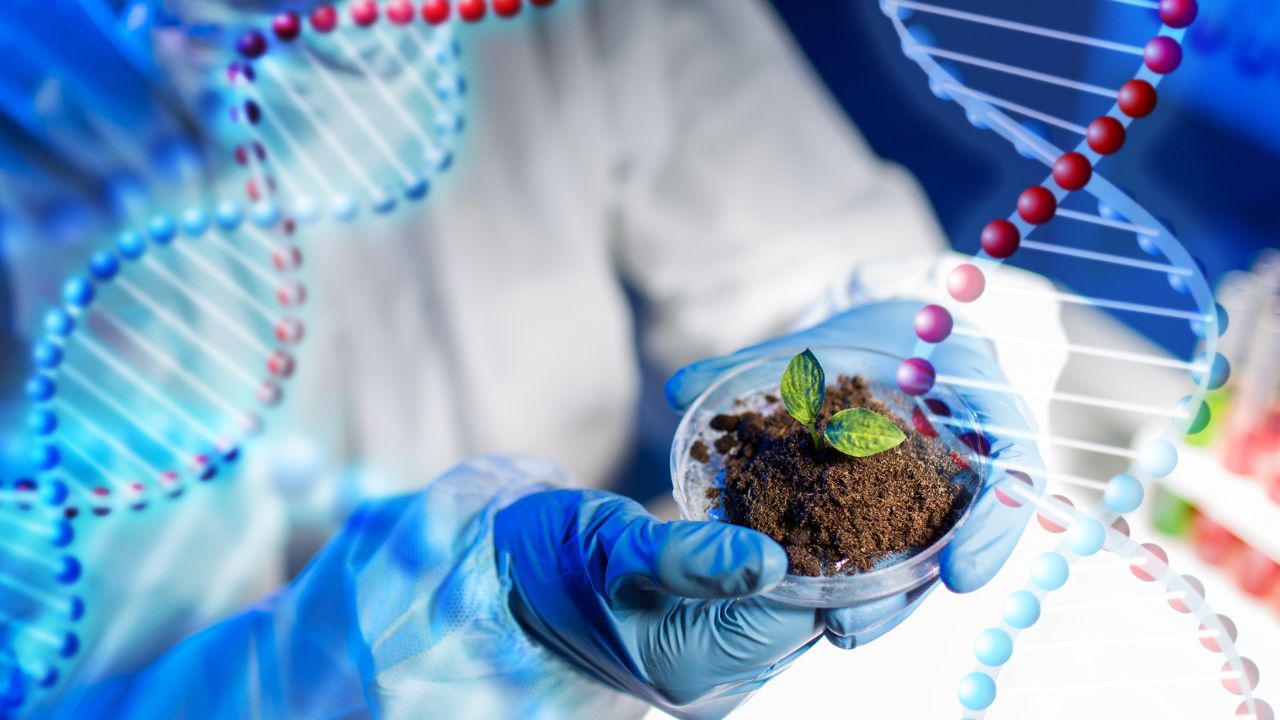 técnico em biotecnologia salário