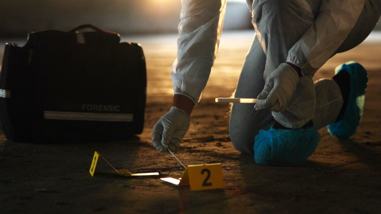 tecnologo investigação forense e perícia criminal onde trabalhar tecnologo investigação forense e perícia criminal onde trabalhar