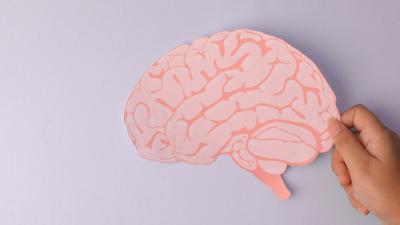 Psicopatologia: guia completo sobre a especialização!