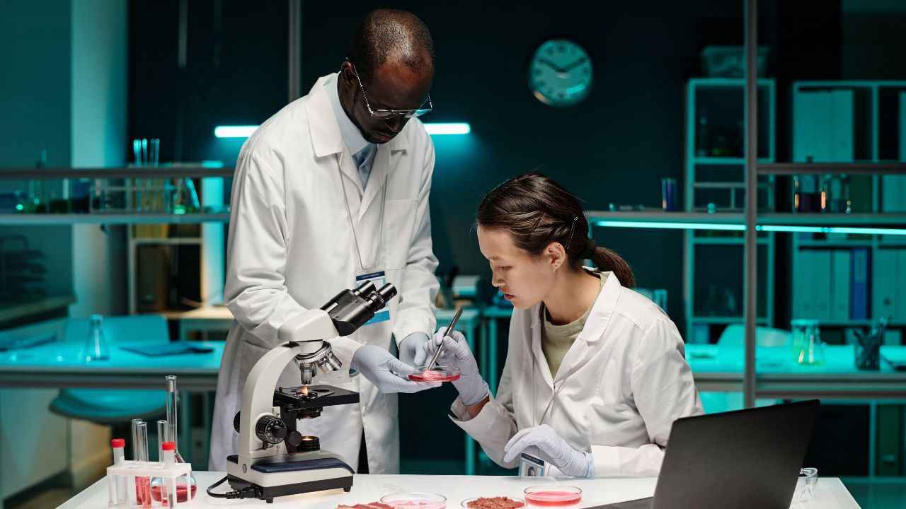 pesquisa científica pesquisa científica