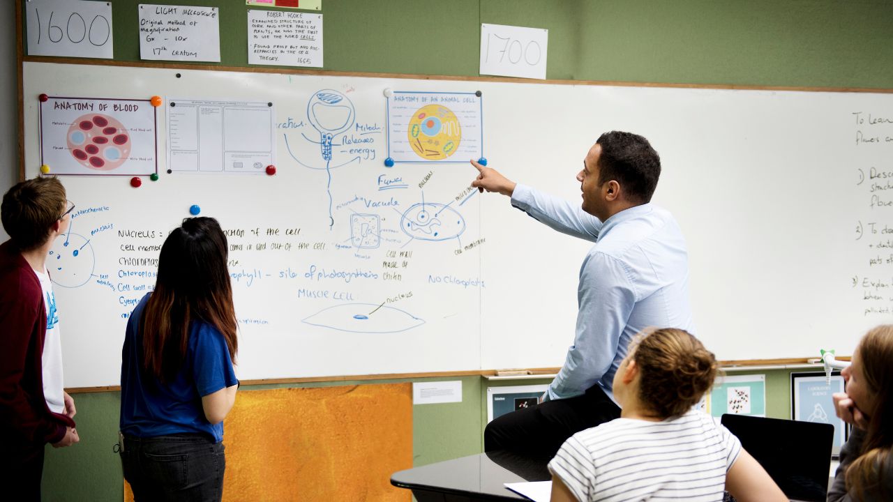 tipos de metodologia de ensino