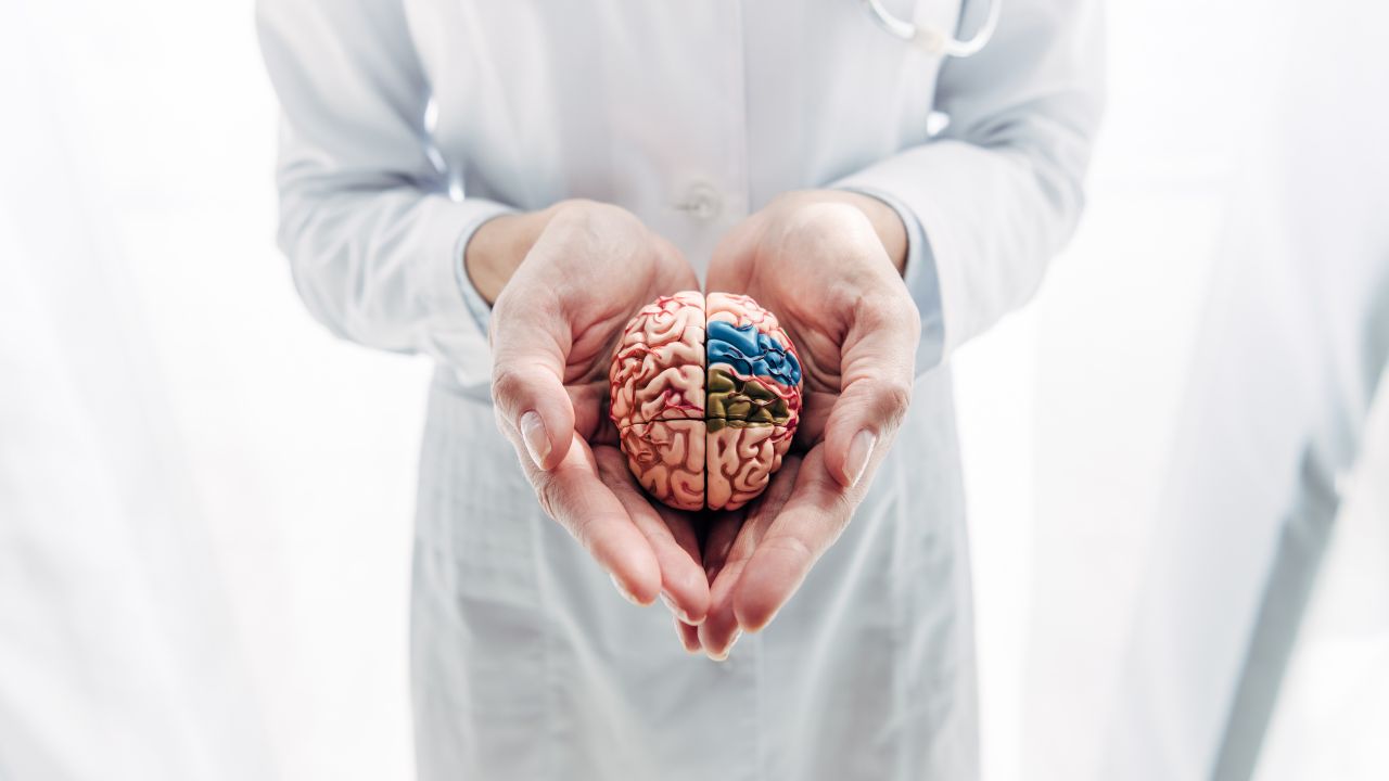 O que é Neuroplasticidade