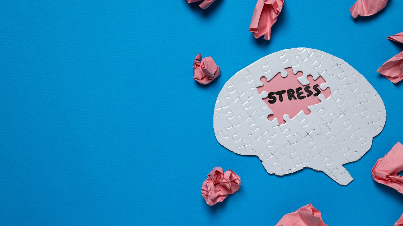 O que é gestão de estresse