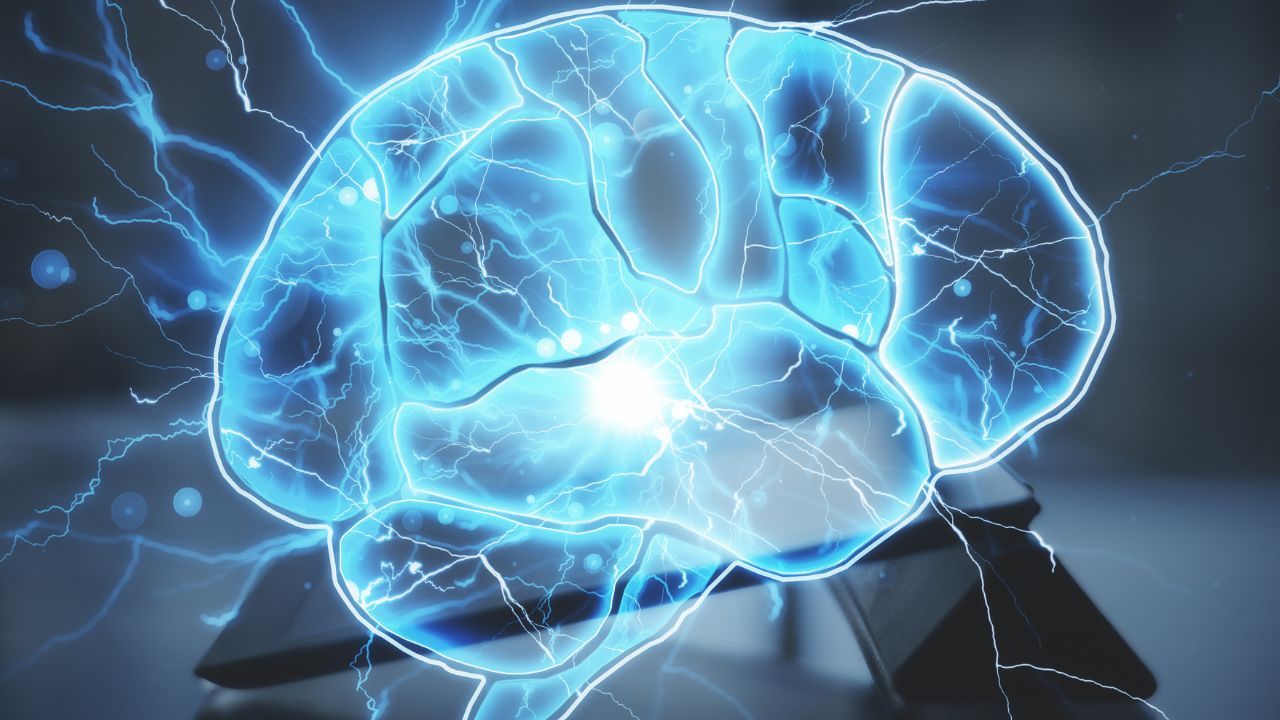 neuroplasticidade o que é neuroplasticidade o que é