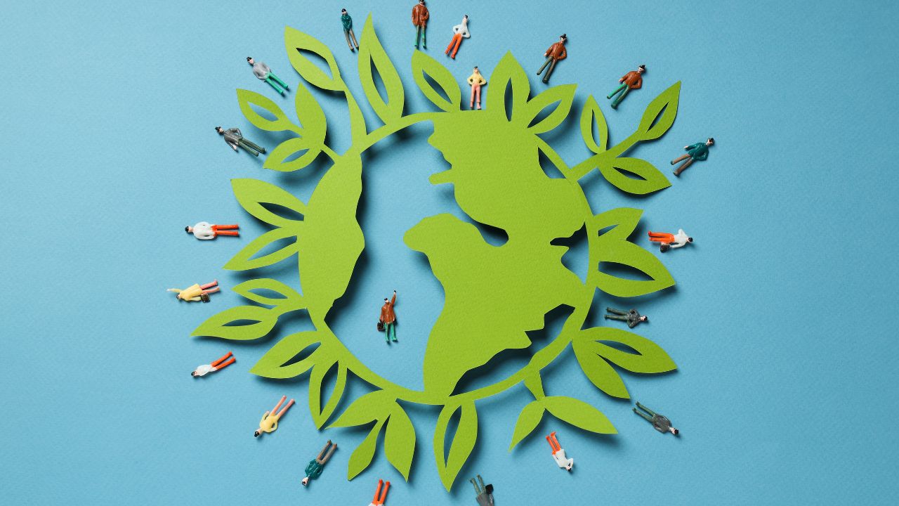 Sustentabilidade econômica exemplos: aplicações práticas e atuais