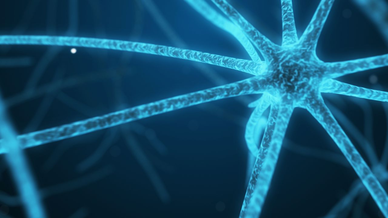 neuroplasticidade cerebral