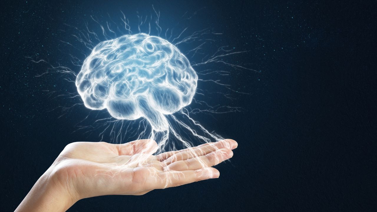 o que é neuroplasticidade