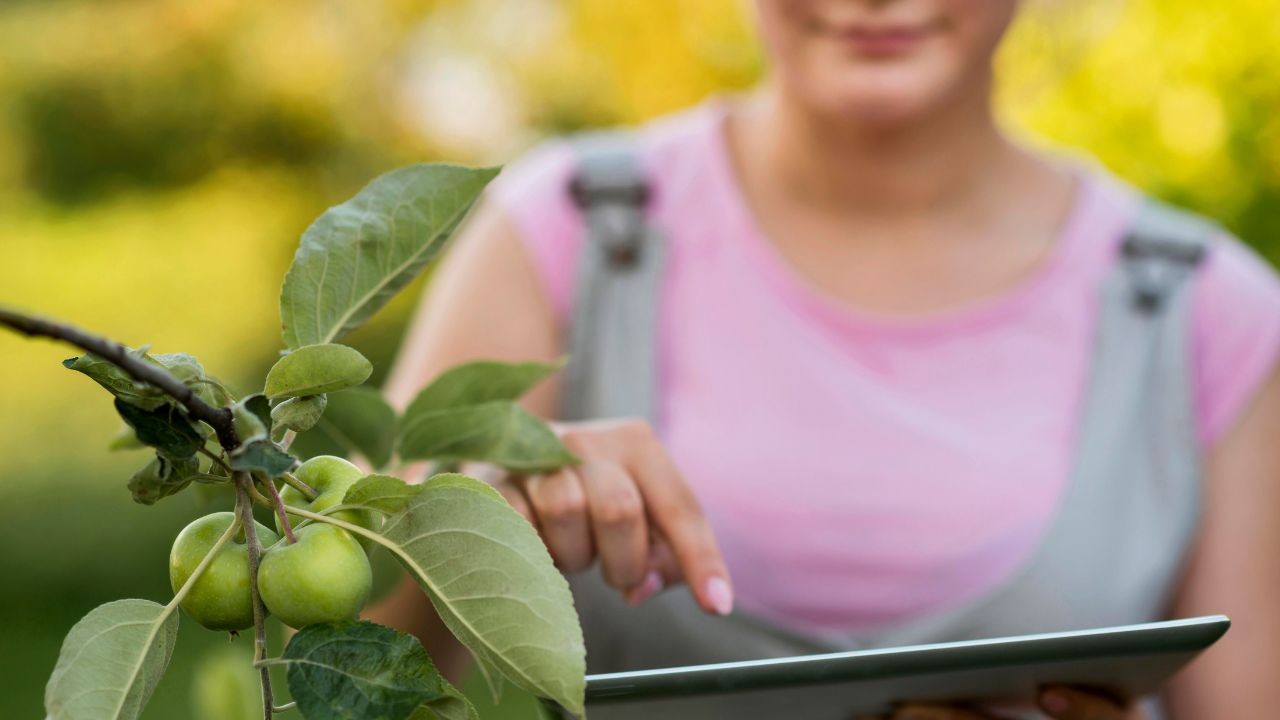 Agroecologia o que é