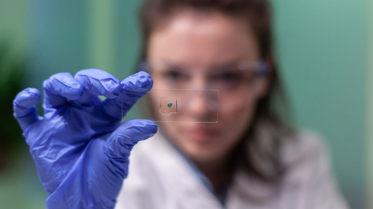 O que é parasitologia