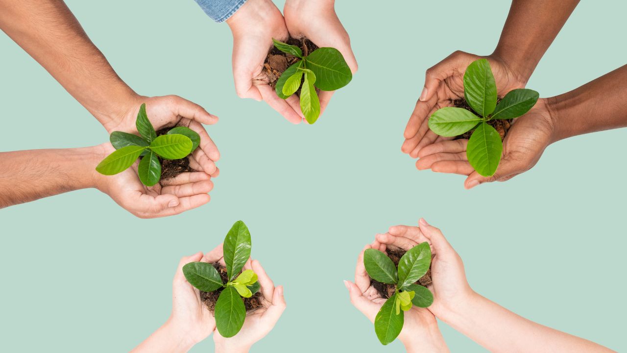 Responsabilidade socioambiental