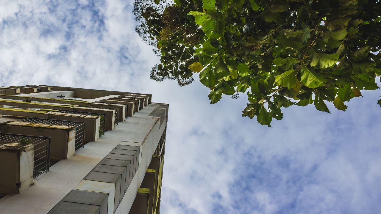 imagem sobre Sustentabilidade na Construção Civil: guia completo sobre a especialização