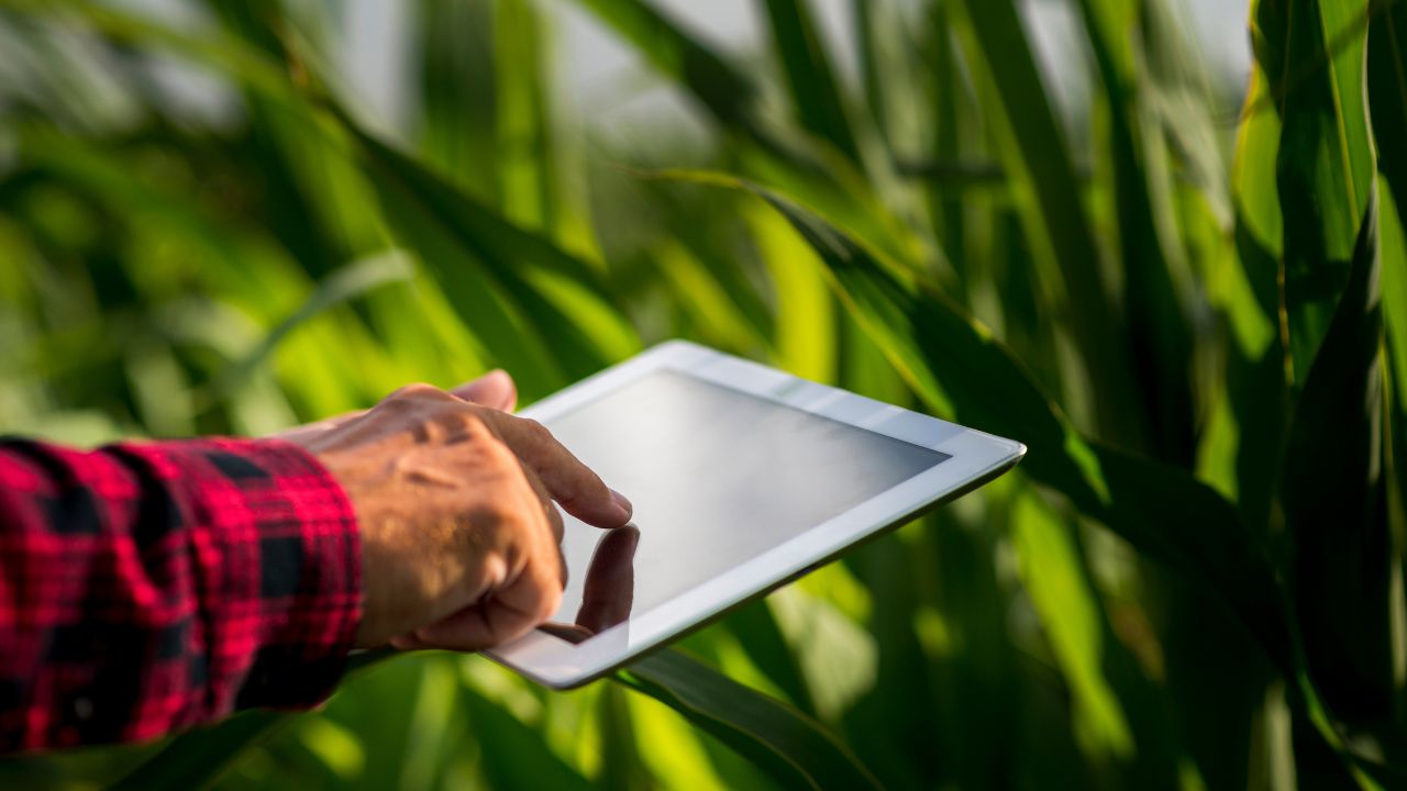 Tecnologia e Inovação Aplicadas ao Agronegócio