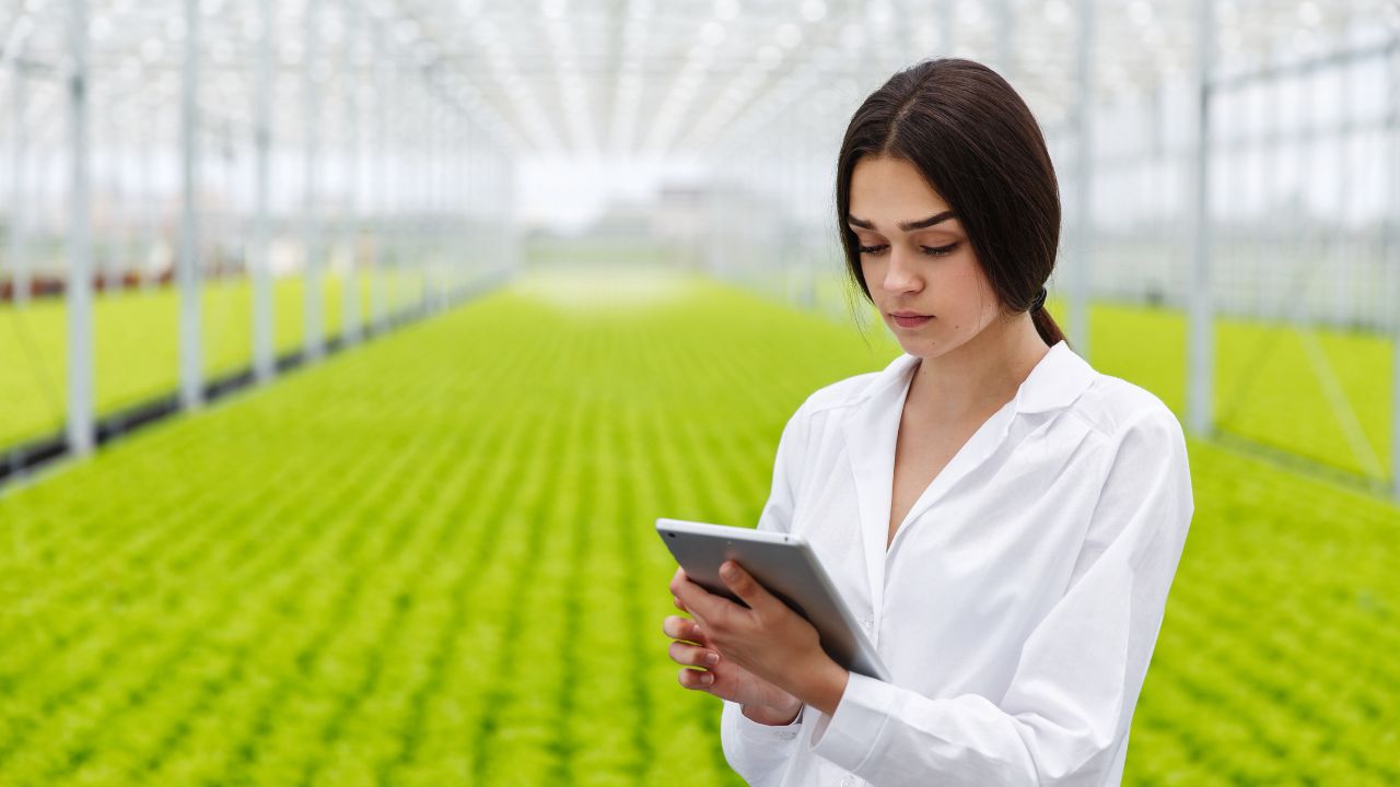 imagem sobre Tecnologias em Sistemas Agroindustriais e ILPF: guia completo para a especialização!