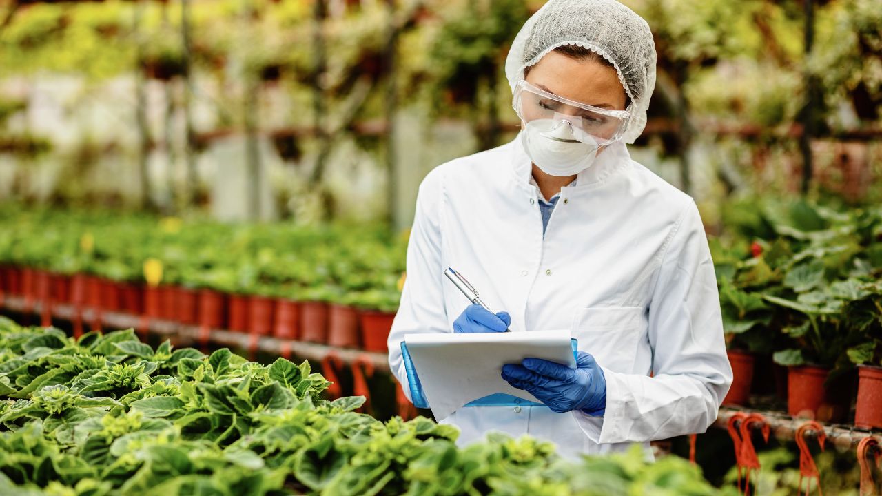 Vigilância Sanitária de Alimentos