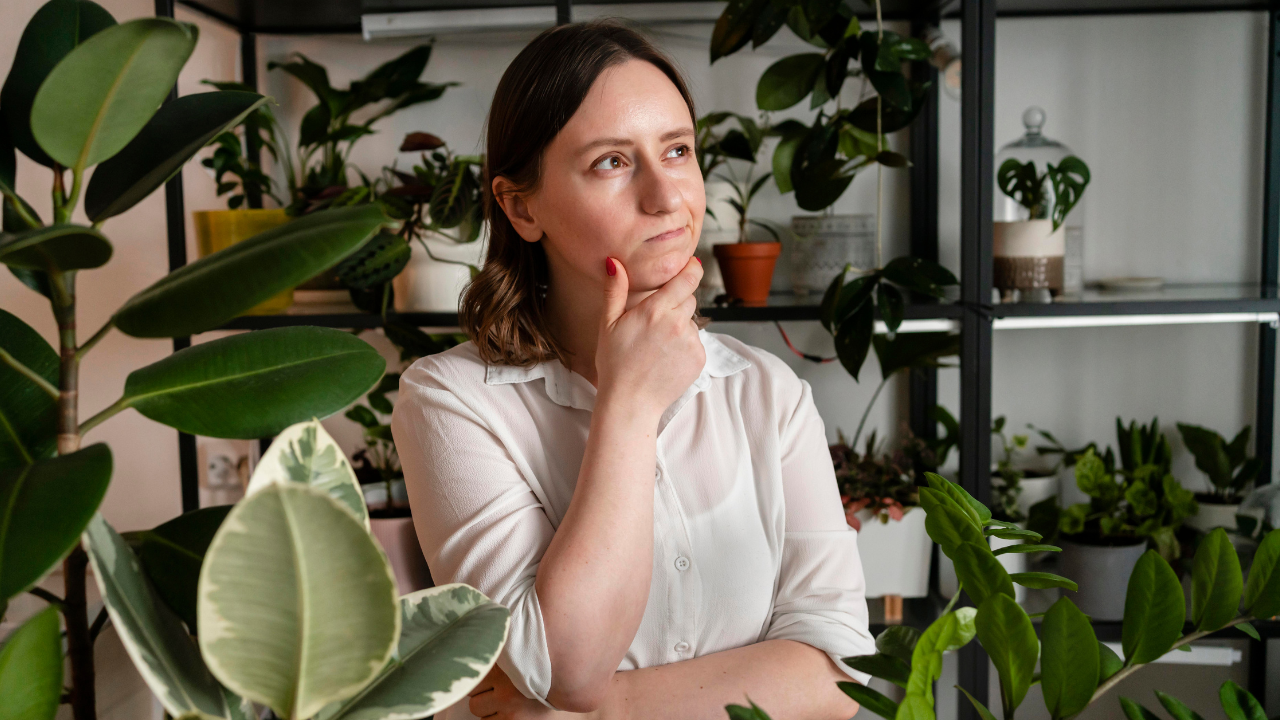 Desenvolvimento sustentável: conceito, pilares e aplicações práticas