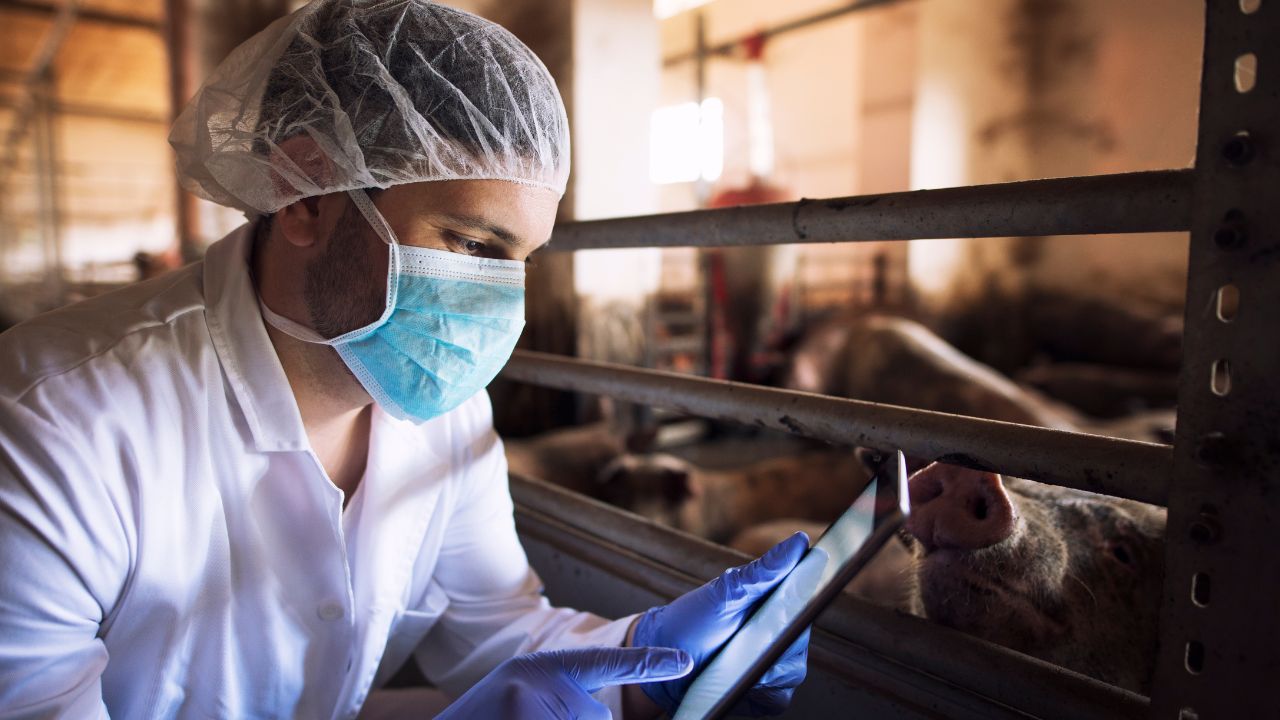 pos graduação vigilância sanitária e qualidade de alimentos