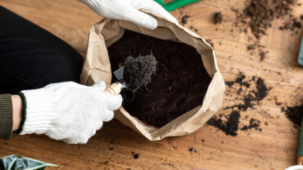 O que é biofertilizante