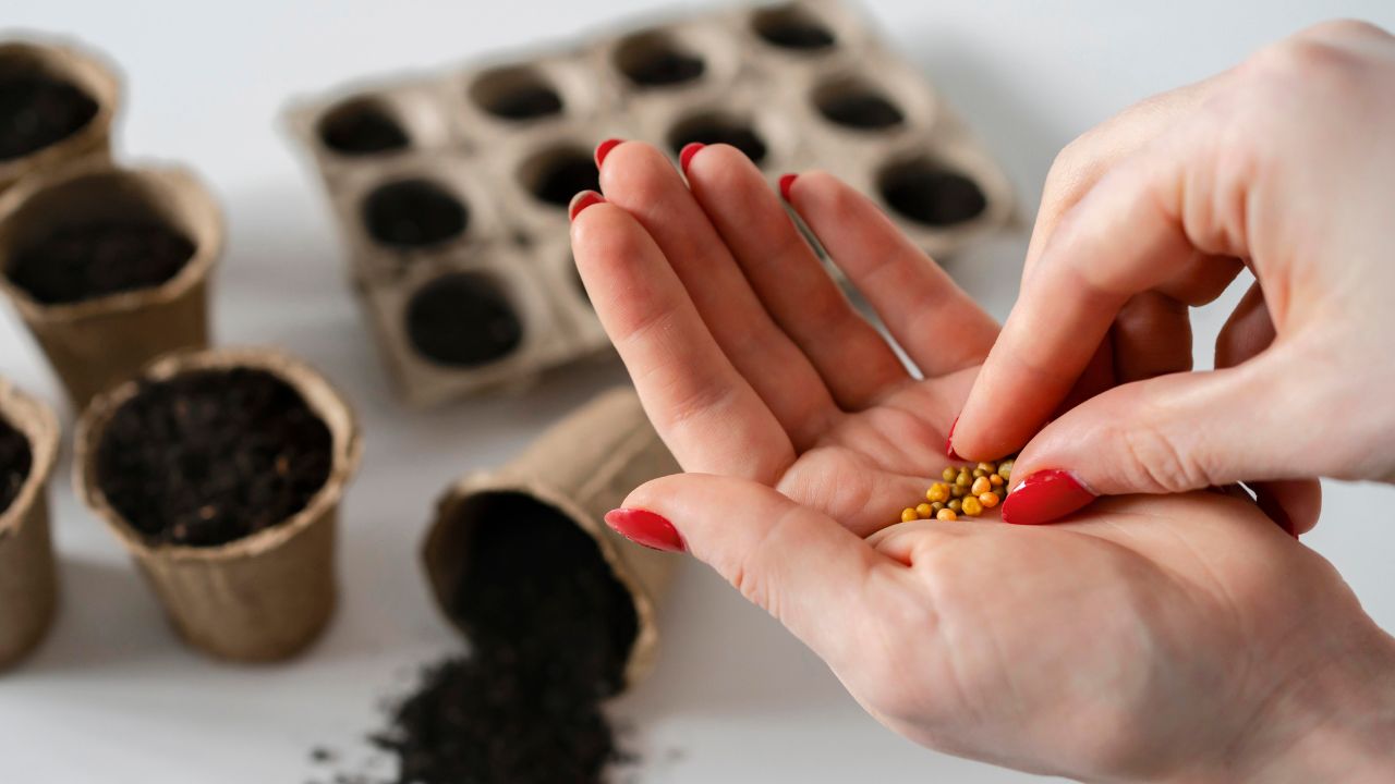 Como fazer biofertilizante
