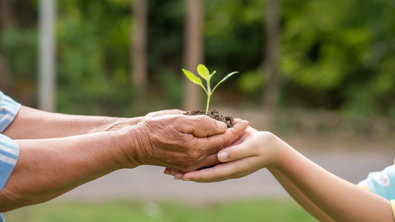O que é educação ambiental