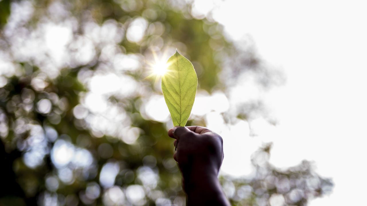 O que é licenciamento ambiental? Saiba o que é aqui