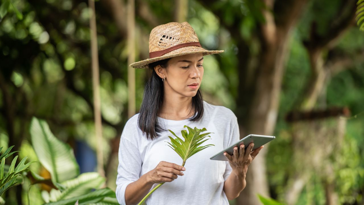 O que são recursos naturais? Saiba aqui