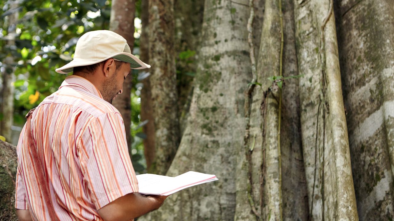 Recursos naturais: o que são, tipos, exemplos e importância