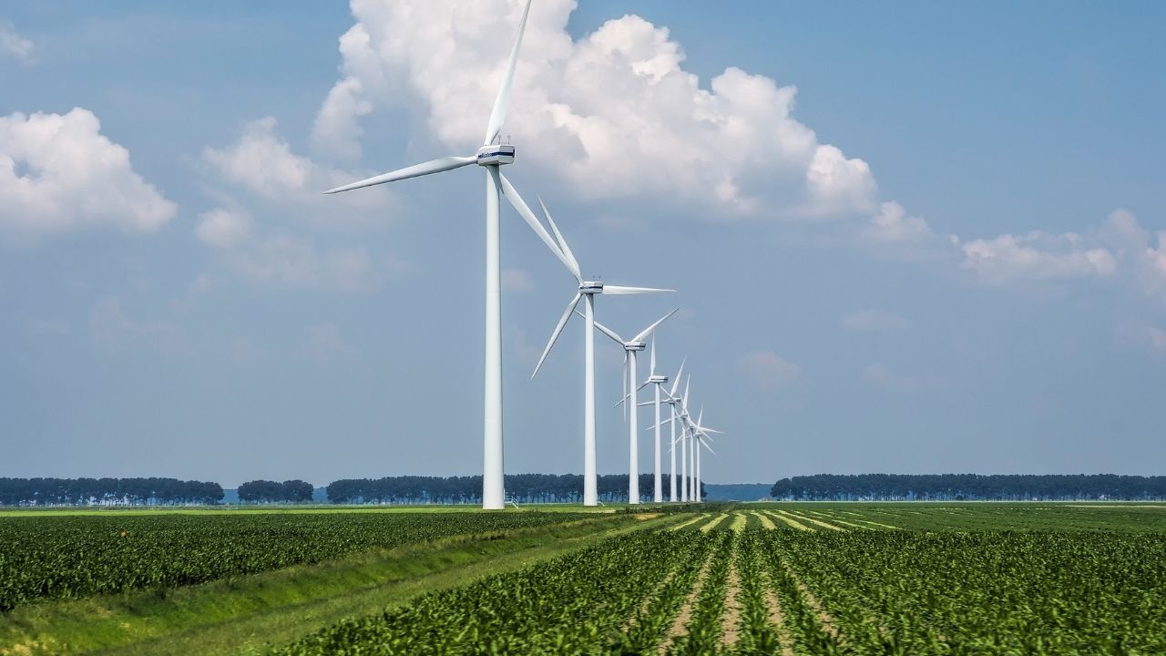 Energia eólica